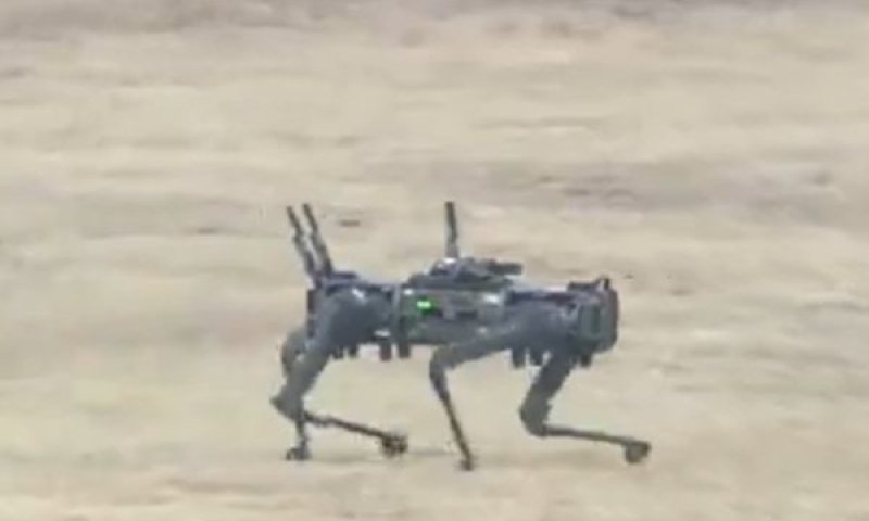 [צילום: רשתות חברתיות לפי סעיף 27א' לחוק זכויות יוצרים]