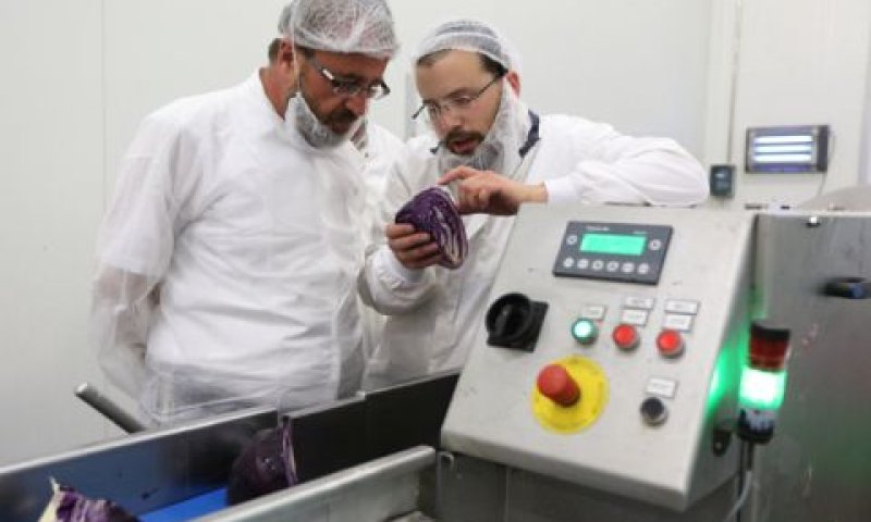 משגיחי כשרות בפעולה [צילום אילוסטרציה: יעקב נעמי/פלאש 90]