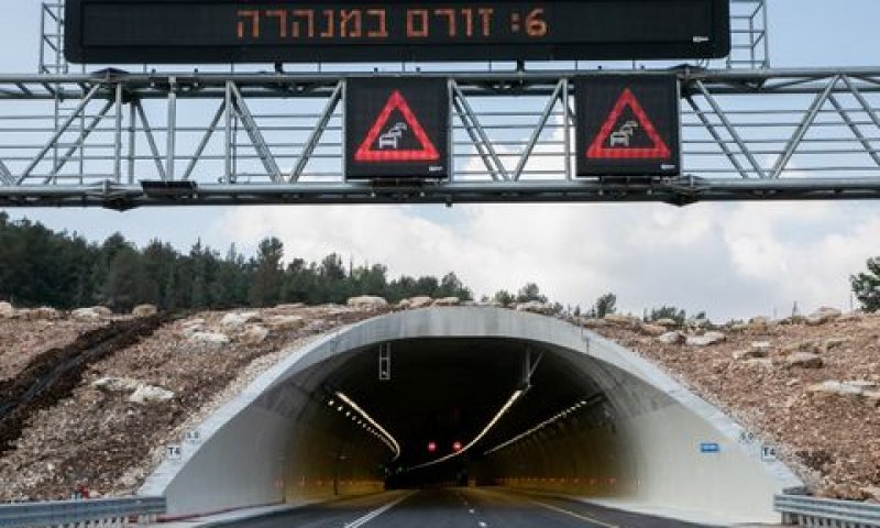 המקטע הצפוני של הכביש [צילום: ענת חרמון/פלאש 90]