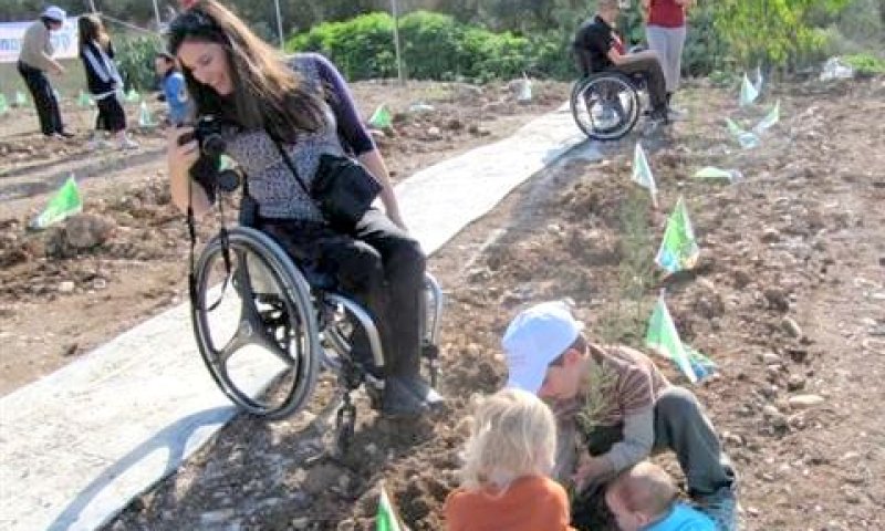 עצים על גלגלים