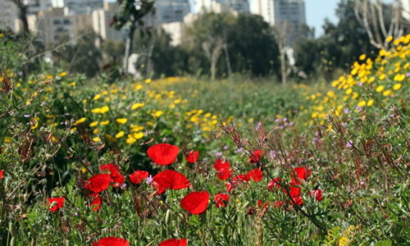 הנכס העיקרי - באיזור פי גלילות [צילום: פלאש 90]