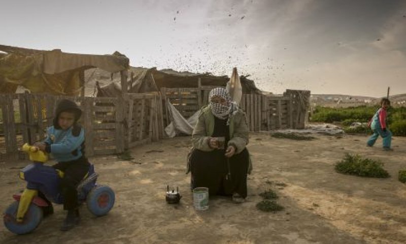 "אנשים מכובדים ביותר התחייבו" [צילום אילוסטרציה: יניב נדב, פלאש 90]