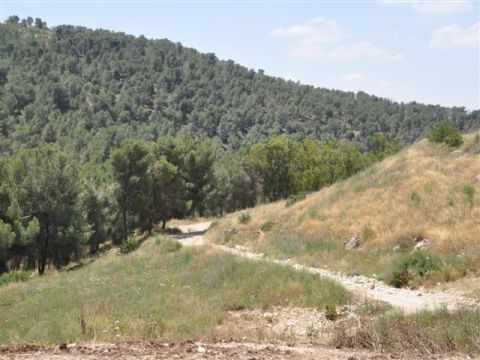 שביל אופניים סובב נצרת עילית [צילום: באדיבות קק"ל]