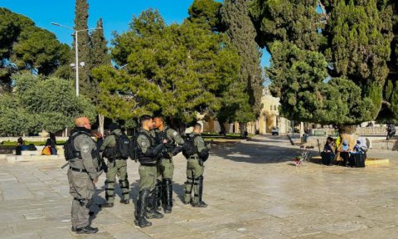 קובץ הפסיקה הרבעוני [צילום אילוסטרציה: ג'מאל עוואד, פלאש 90]