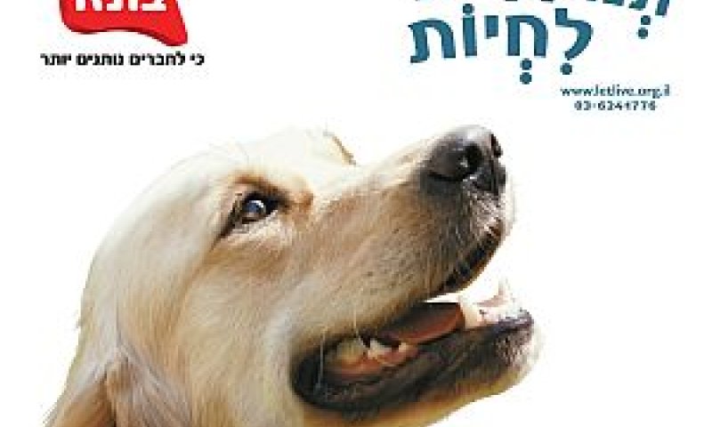 [צילום: יריב פיין]