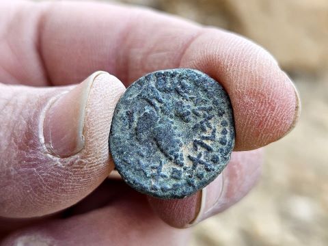 בצידו השני של המטבע הנדיר מופיע אשכול ענבים וסביבו הכיתוב "שנה אחת לגאלת ישראל" בכתב העברי הקדום [אוריה עמיחי, רשות העתיקות]