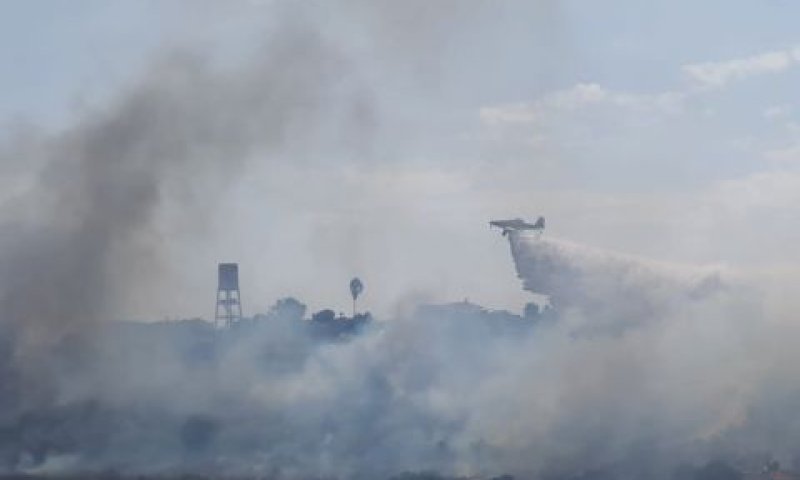 שריפת חורש בכפר האורנים [צילום: דוברות המשטרה]