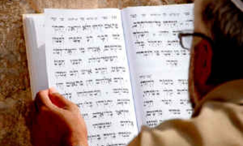[צילום: פלאש 90]