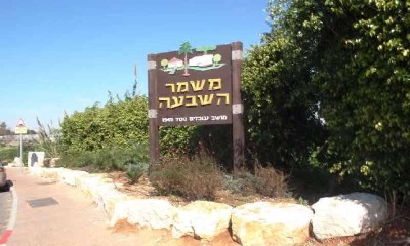 [צילום: אריאל פלמון]