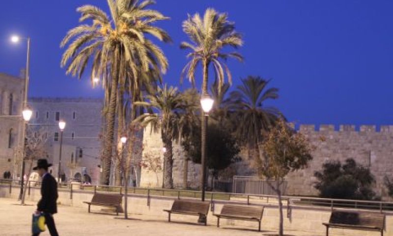 הקרקעות היו מוזנחות [צילום: נתי שוחט, פלאש 90]