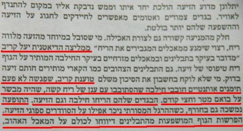 הכתבה בעיתון יתד נאמן