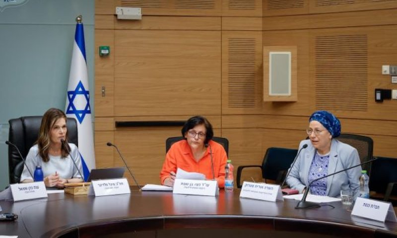 סיוע למשרתי שירות לאומי ללא עורף משפחתי [צילום: נועם מושקוביץ/דוברות הכנסת]