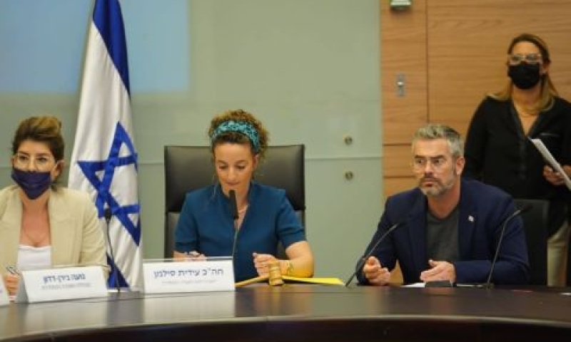 טופורובסקי וסילמן [צילום: דני שם-טוב/דוברות הכנסת]