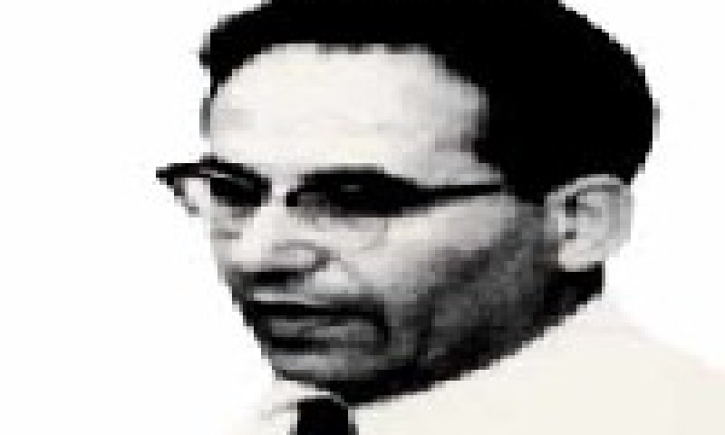 יחיאל דינור