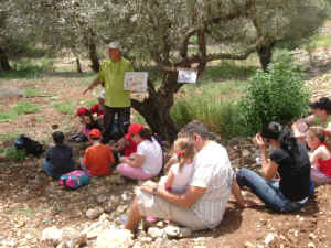 [צילום: שלומי פלקס – יראון]