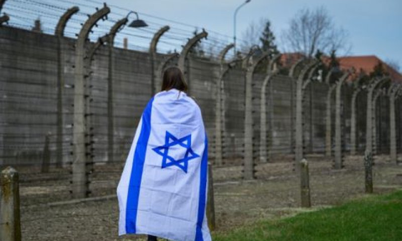 המשלחות הראשונות - בקיץ הקרוב [צילום: יוסי זליגר, פלאש 90]