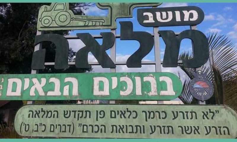 שער הכניסה למושב מלאה [צילום: לפי סעיף 28א לחוק זכויות יוצרים]