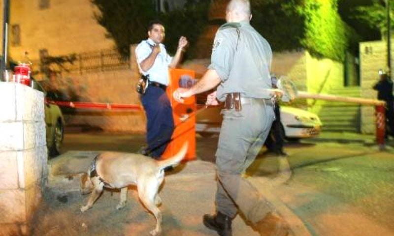 כלב הרחה של המשטרה [צילום: פלאש 90]