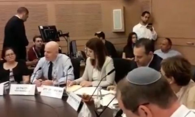 הדיון בוועדה המסדרת [צילום: מסך]