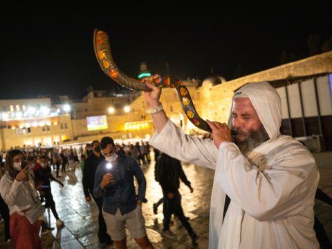 [צילום: אוליביה פיטוסי/פלאש 90]