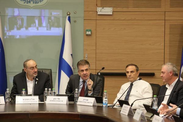 ואטורי. יותר כסף למשרד האנרגיה [צילום: דני שם-טוב/דוברות הכנסת]