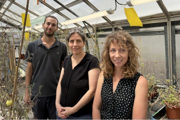 רעיה זלצר, גיא זר אשל ולילך הדני [צילום: אוניברסיטת ת"א]