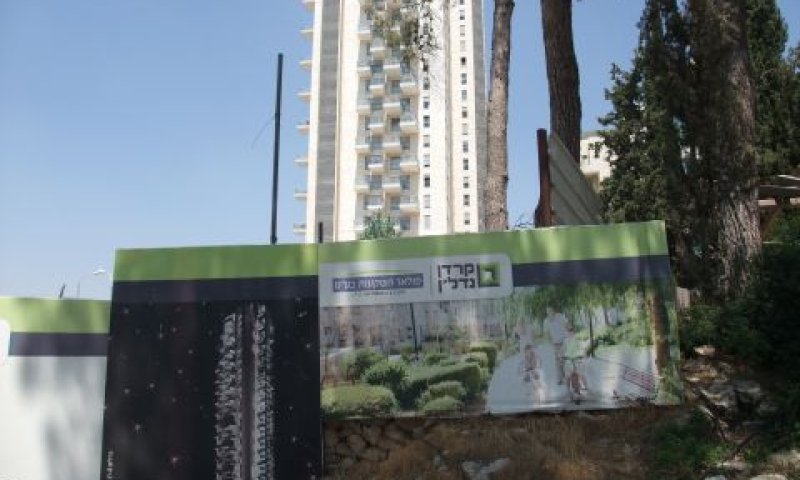 תורת האורגנים