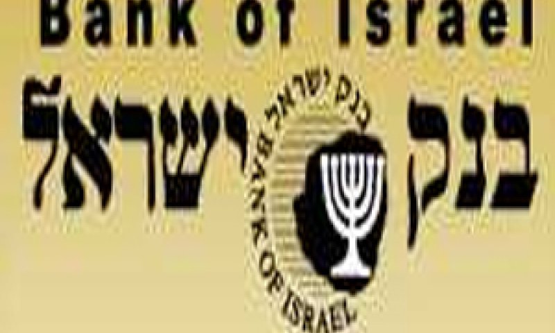 השפעת ההגבלות על הלווים היתה חלקית