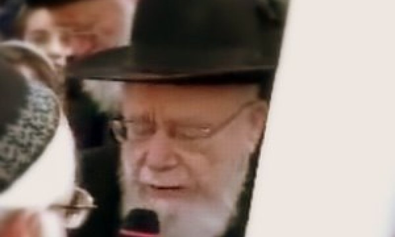 הרב דוב ליאור