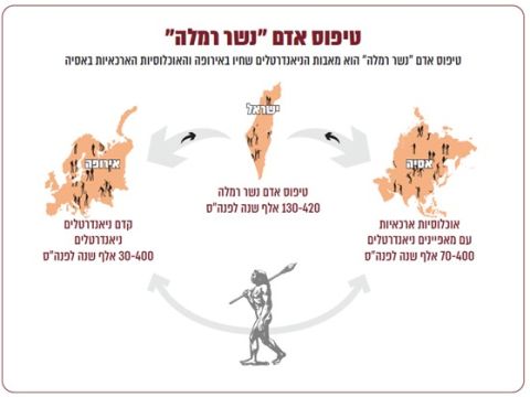 ציר הזמנים