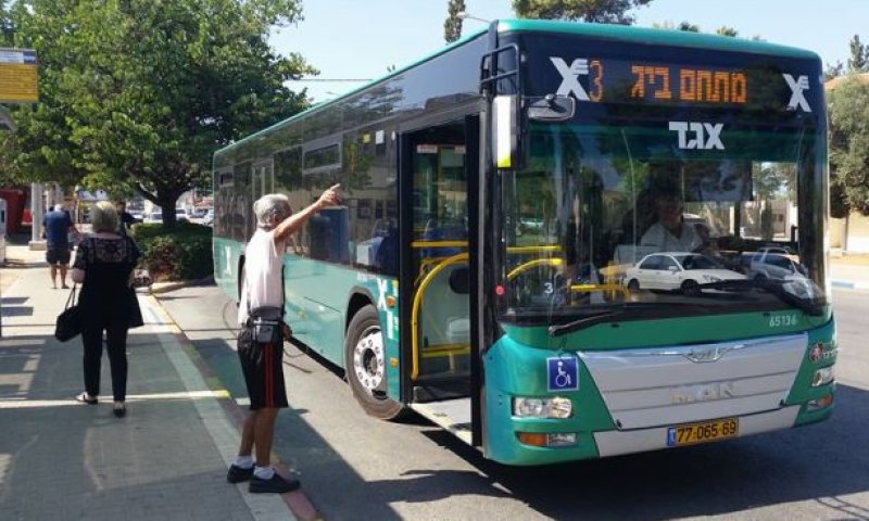 התאמה לצמיחת המושבה [צילום: מולי מנדלסון]