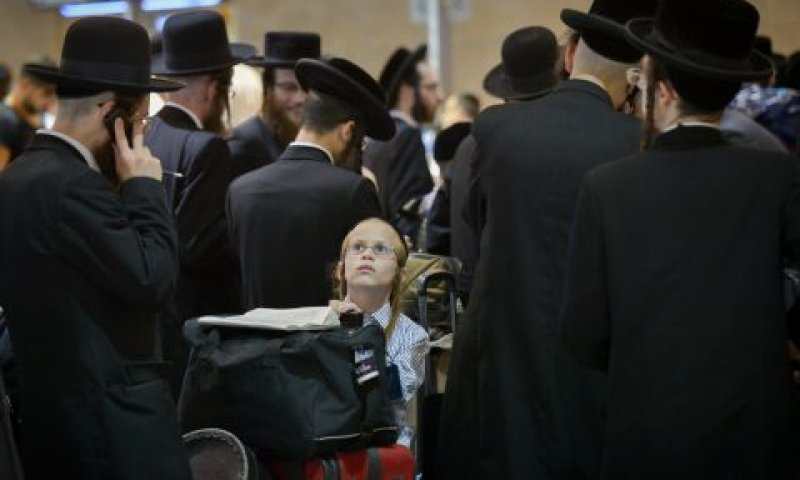 יתאימו את עצמם [צילום: אבי דישי, פלאש 90]