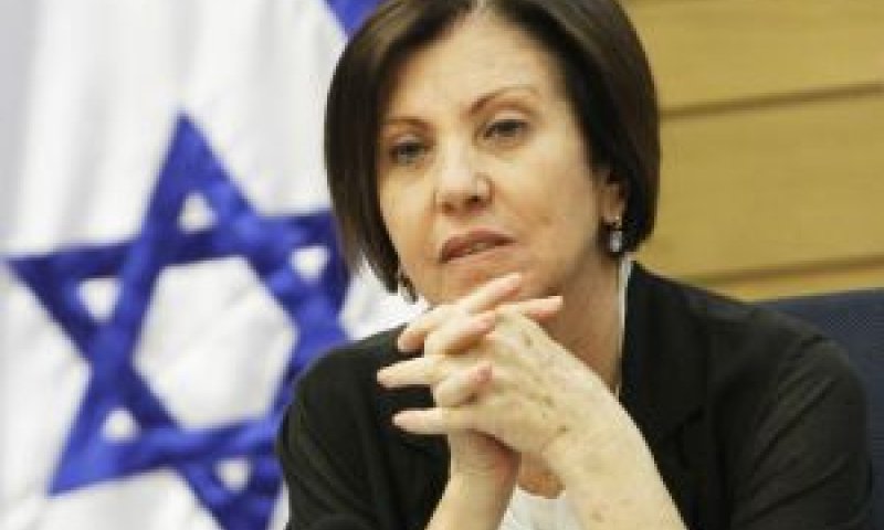 גלאון. העדויות הוקראו בכנסת [צילום: פלאש 90]