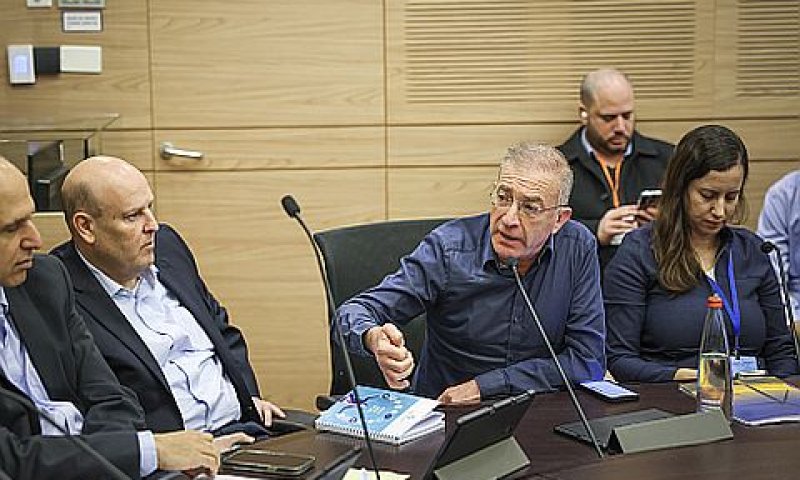 מאיר שפיגלר, רבקה לויפר, סמנכ"לית כלכלה [צילום: נועם מושקוביץ, דוברות הכנסת]