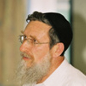 הרב שפרבר. "אין כל חידוש בסוכה של "סוכות ירושלים"