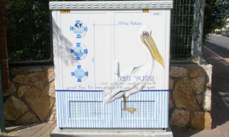 [צילום: יח"צ]
