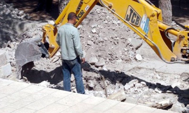 [צילום: צחי צוויג]