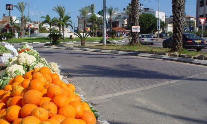 חשד לשחיתות בטירה [צילום: איתן טל]