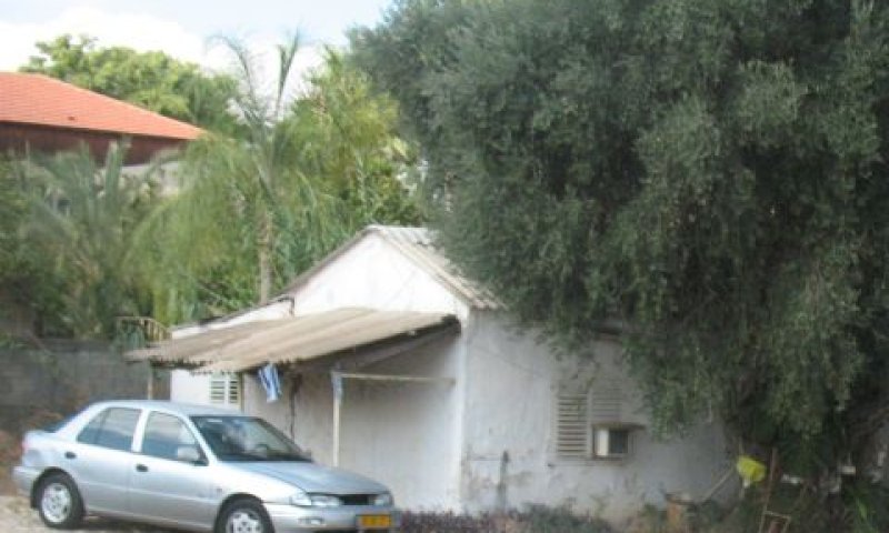 פרקטיקה נכונה [צילום: אלי אלון]