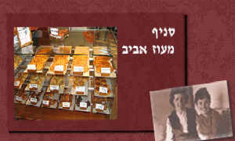 [צילום: מטילדה]