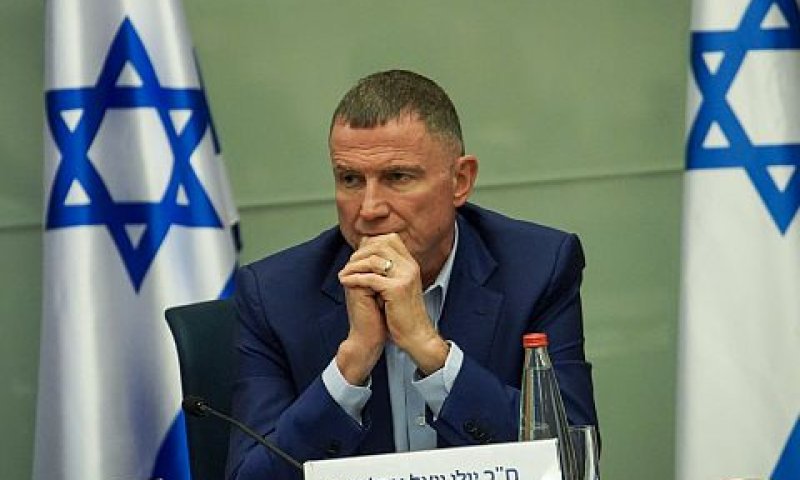 אדלשטיין. "תחזרו עם עמדות ברורות ומתואמות" [צילום: דני שם-טוב, דוברות הכנסת]