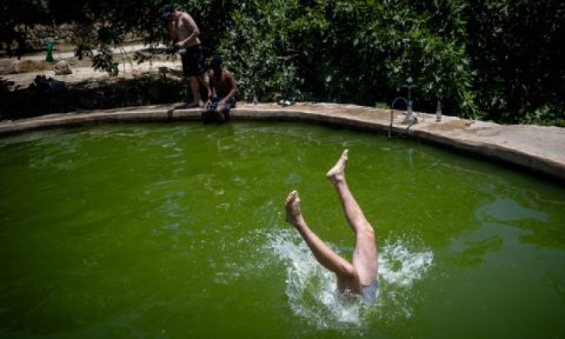 מצננים את החום במעיין עין לבן [צילום: יונתן זינדל/פלאש 90]