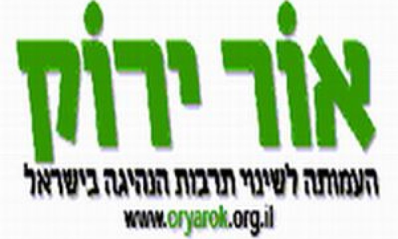 אור ירוק.jpg