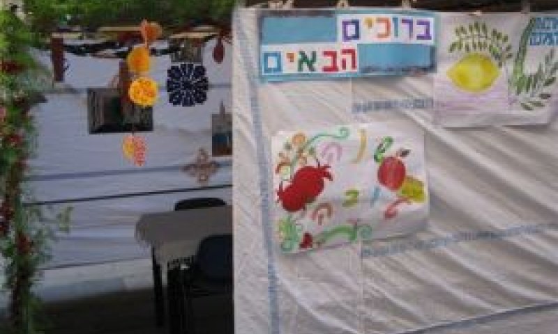 [צילום: משה לייזר]