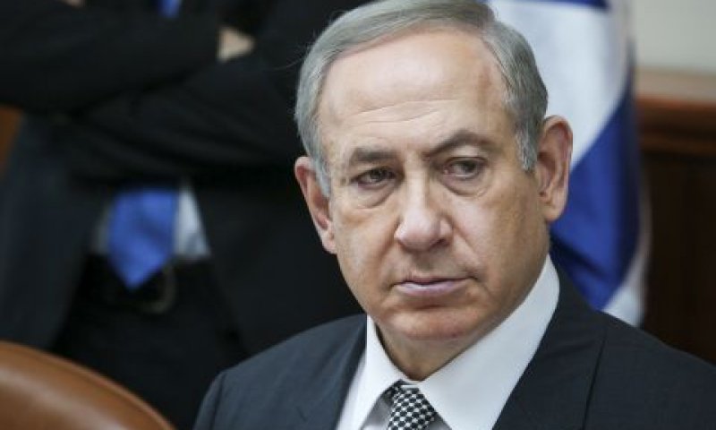 [צילום: עמית שאבי]