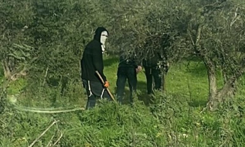 רעולי הפנים, אחר הצהרים בשומרון [צילום: שימוש לפי סעיף 27א]