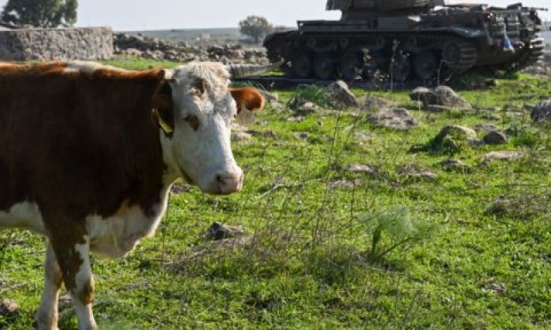 כוח משוריין ברמת הגולן [צילום: מיכאל גלעזי/פלאש 90]