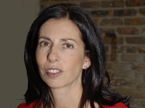 סלינגר. חלק מתכנית כוללת [צילום: יח"צ]