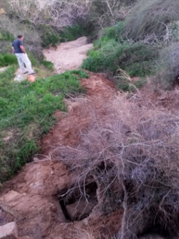 עם כלי חפירה [צילום: רשות העתיקות]