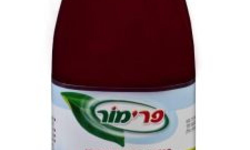 [צילום: עמית שטראוס]